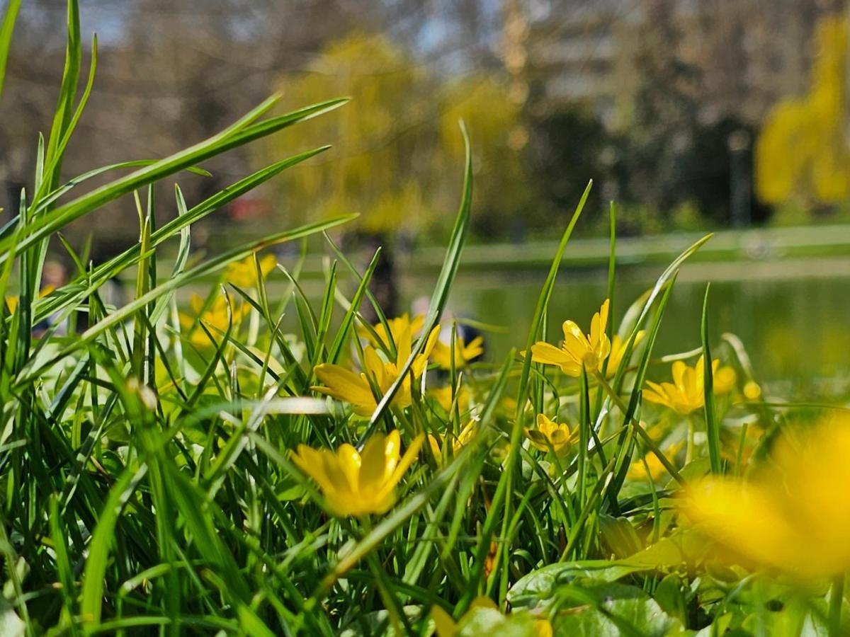 Apartament Central Park Kielce Eksteriør bilde